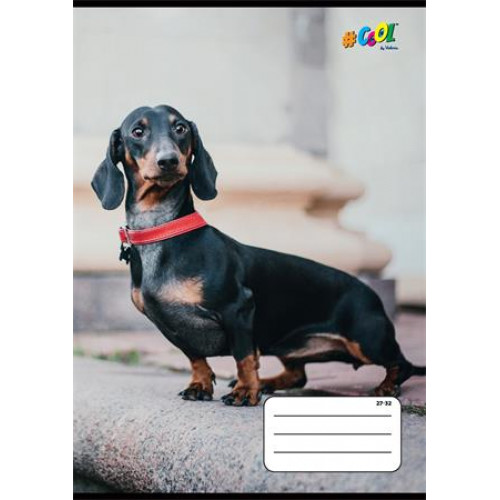 Cool By Victoria Füzet tűzött A5 kockás 32lap Hounds 27-32