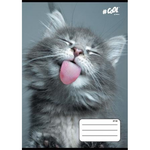 Cool By Victoria Füzet tűzött A5 kockás 32lap Cats 27-32