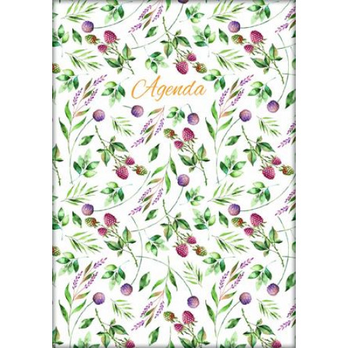 Dayliner Naptár tervező A5 heti Colors Berries (2026)