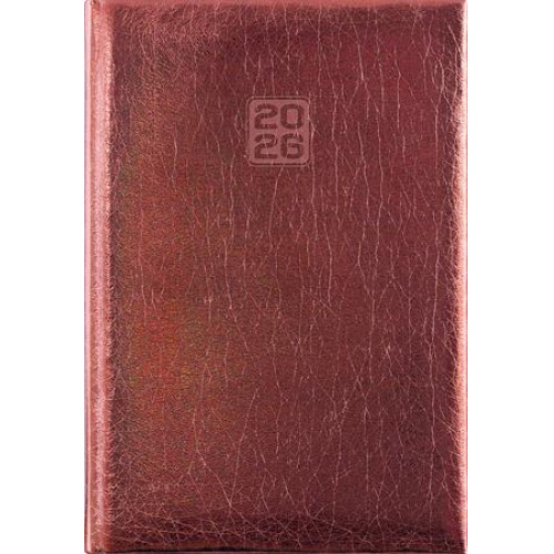 Dayliner Naptár tervező A5 heti Mirror bronz (2026)