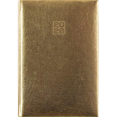 Dayliner Naptár tervező B6 heti Mirror arany (2026)