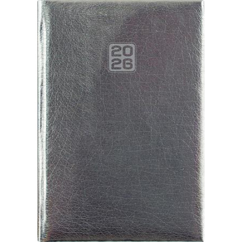 Dayliner Naptár tervező B6 heti Mirror ezüst (2026)