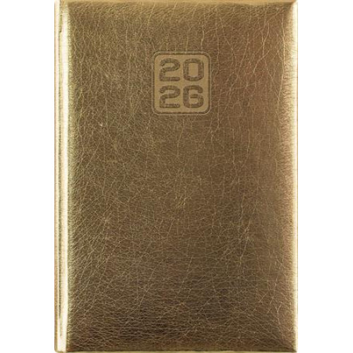 Dayliner Naptár tervező A5 napi Mirror arany (2026)