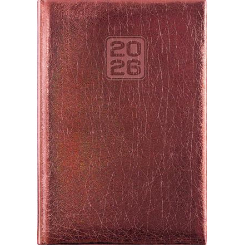Dayliner Naptár tervező A5 napi Mirror bronz (2026)
