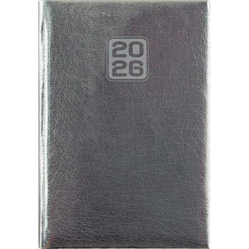 Dayliner Naptár tervező A5 napi Mirror ezüst (2026)