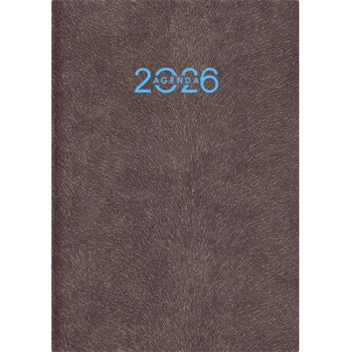 Dayliner Naptár tervező A5 napi Animal Grizzly-szürkésbarna (2026)