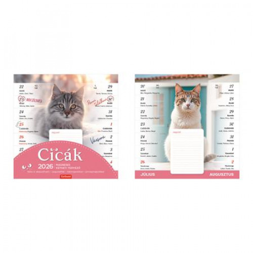 Toptimer Naptár fali mágneses kétheti cicák (2026)
