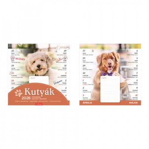 Toptimer Naptár fali mágneses kétheti kutyák (2026)