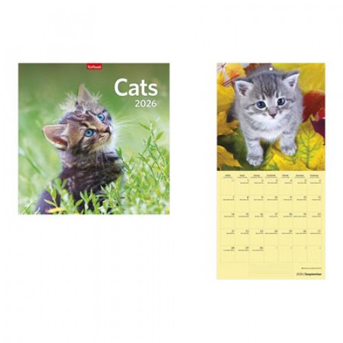 Toptimer Naptár fali Cats (2026)