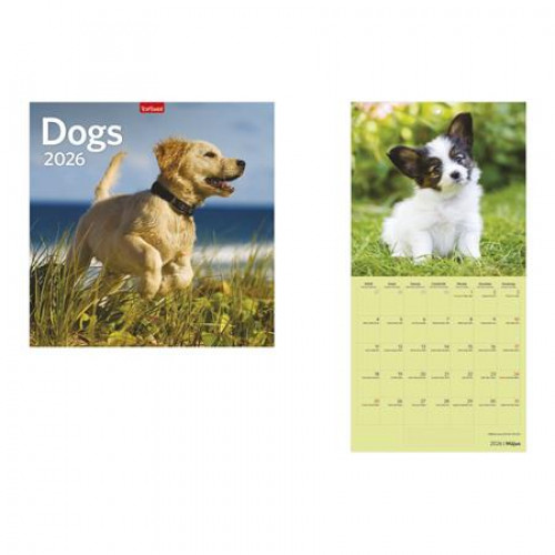 Toptimer Naptár fali Dogs (2026)