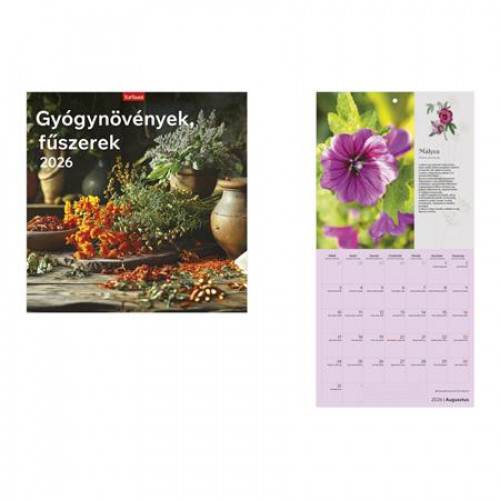 Toptimer Naptár fali Gyógynövények fűszerek (2026)