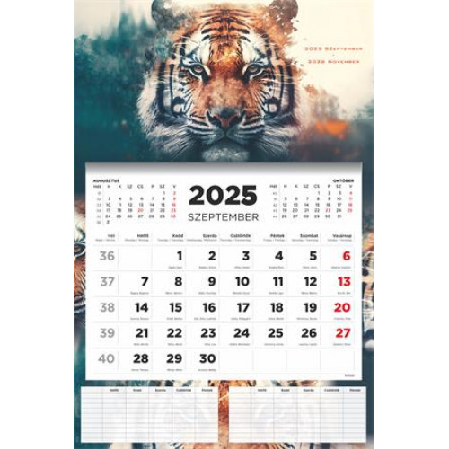 Toptimer Naptár fali diák 2025/2026 tanév Tiger
