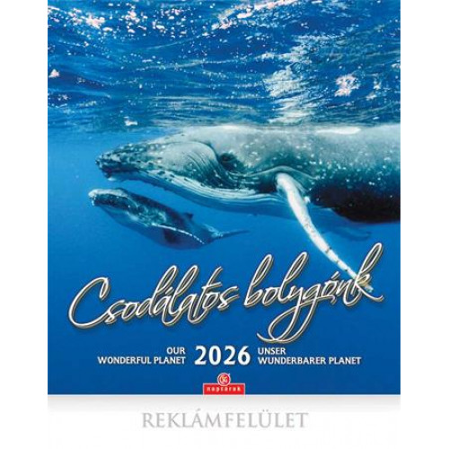 Csg Naptár fali Csodálatos bolygónk (2026)
