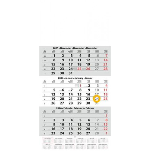 Dayliner Naptár speditőr három hónapos egy tömbös üres fejrész (2026)