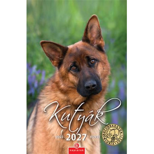 CSG Naptár fali Kutyák (2027)
