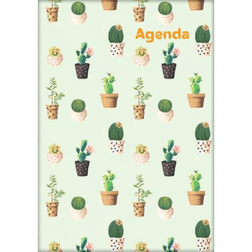 Dayliner Naptár tervező A5 heti Colors Cactus (2027)