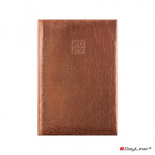 Dayliner Naptár tervező A5 napi Mirror bronz (2027)