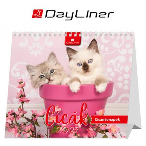 Dayliner Naptár asztali álló Cicák (2027)