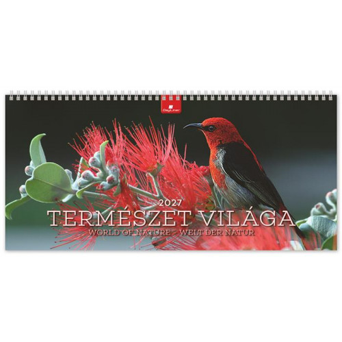 Dayliner Naptár asztali álló Természet világa (2027)