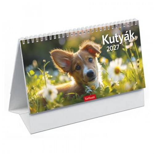 Toptimer Naptár asztali álló Kutyák (2027)