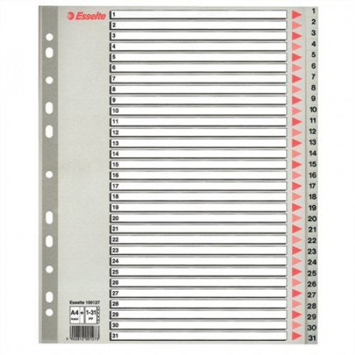 Esselte Regiszter műanyag A4 Maxi 1-31 szürke