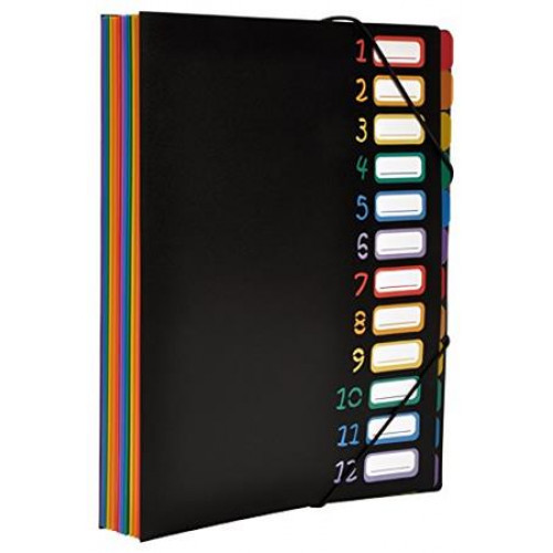 Viquel Harmonikamappa (gumis mappa) 12 rekeszes Rainbow Class fekete